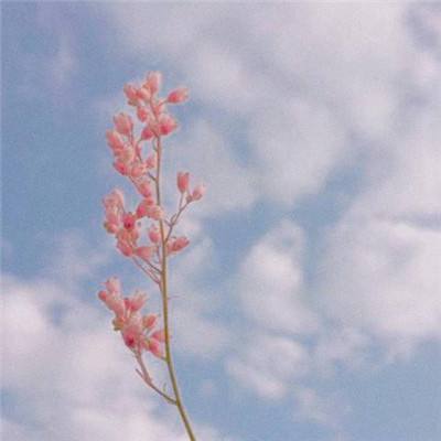 江南官方网站下载下载手机版